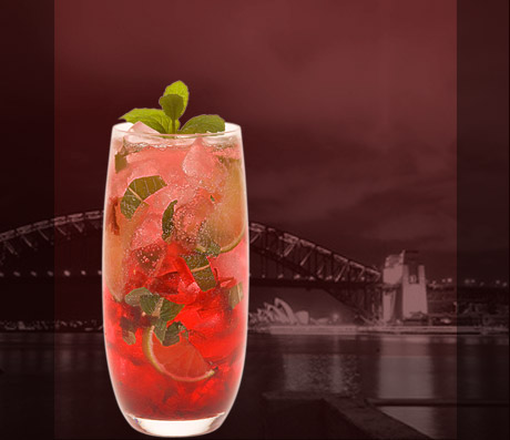 Pama Pomegrantes Mojito